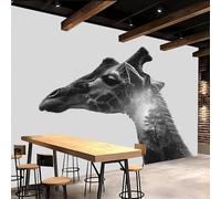 Générique 3D Panoramique Murale 500x280cm Girafe papier peint panoramique 3d Forêt étoilée Toile décorative haut de gamme, sans joint, effet peinture à l’huile, pour couloir moderne