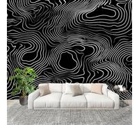 Générique 3D Panoramique papier peint Photo Illusion D'Optique Rayures ZéBréEs Papier Peint Intissé Amovible 250x175 cm Noir Décoration Fresque Murale Pour Salon Chambre Enfant Chambre