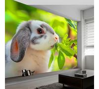 Générique 3D Papier peint panoramique Branches Animaux Lapins, papier peint panoramique murale Paysage Naturel pour salon chambre chambre d'enfant - Décoration murale photo 350L x 256H cm