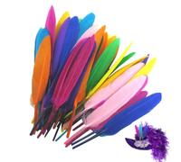 Générique 50 Pcs Goose Feathers - Natural Geese 10cm-16cm Mixed Colors