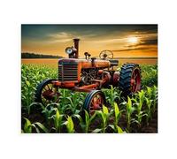 Générique 5D Diamond Painting Kit Complet Tracteur Agricole Rétro 30X40 Kit de Peinture Diamant Adulte et Enfants,Broderie Diamant Kit Complet Paysage,Diamant Strass Art Point de Croix Mosaïque,A22