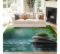 Générique 60 x 90 cm Tapis Entrée Intérieur, Multicolore Antidérapant Tapis Lavable, Pile Courte Tapis Salon Zen Décoration Galets Plantes Feuilles pour Dessous, Cuisine, Chambre Chien