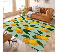 Générique 80x150 cm 3D Imprimés Tapis Style Chinois Fleurs Et Oiseaux Roses Poil Ras Doux Lavable en Machine Antidérapant Tapis Vert Paillasso Moderne Salon Chambre Coucher Salle à Manger D'intérieur