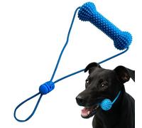 Générique à mâcher pour Chiots Bâtons de Dentition interactifs