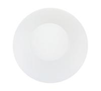 Générique Abat-jour sphérique en verre laiteux 250 mm de diamètre globe rond suspendu et lampadaire verre résistant à diffusion lumineuse douce rechange pour luminaire intérieur