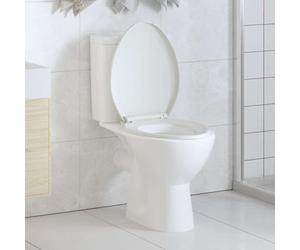 Générique Abattant WC à Fermeture en Douceur Libération Rapide Blanc,145019