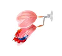 Générique Accessoires D'Aquarium pour Poisson Betta - Accessoires d'Aquarium Réalistes à Ventouse, pour Combattant - pour Enrichissement Repos Frai Sommeil Petites crevettes guppys cichlidés