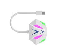 Générique Adaptateur USB/Type C Ethernet Câble Adaptateur réseau USB RJ45 Ethernet Convertisseur 100/10 Mbps pour Ordinateur Portable Station d ' Extension Portable