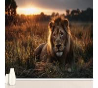 Générique Afrique Lion Féroce Film Stickers Muraux Autocollant Jungle Sauvage Animaux Papier Peint, Prairies Paysage Mural pour Salon Chambre Décoratif Papier Pour Meuble Stickers Muraux 366 x 254 cm