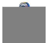 Générique Ahorn Finger Skateboard - Mini Fingerboard, Creative Hand Toy | Durable Maple Wood Deck 3.85x1.1 inch, Fun Stress Reliever, Desk Toy, Party Favor Birthday Gift Children Teens Boys