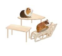 Générique Aire de x pour Hamster Nain Aire de en Bois pour Gerbille