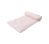 Générique Alèses Absorbantes Anti-Fuites pour Chats, Jetables pour Apprentissage de la Propreté, pour Intérieur, Dressage et Confort