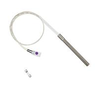 Générique Allumeurs de grilles à granulés en Acier Inoxydable, Accessoire de brûleur à Tige Chaude, pièce de Rechange, Outil d ' allumage pour Tige de Combustion de granulés de Barbecue