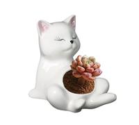 Générique Améliorez l'esthétique de Votre Maison avec des Pots de Fleurs, Parfaits comme Accessoires décoratifs et Fournitures incontournables pour Les Amateurs de Ces Cache-Pots Polyvalents