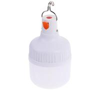 Générique Ampoule de Secours Étanche 20W Rechargeable USB Crochet en Acier Inoxydable Lampe Portable pour Camping et Randonnée Éclairage Extérieur d'Urgence Facile à Suspendre