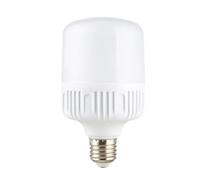 Générique Ampoule LED E27 100 W, culot à vis, 220 V, Haute luminosité, lumière Blanche, Protection des Yeux, éclairage Non vacillant (80 W).