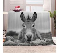 Générique Âne Animal Manta de franela 3D Suave - Cubre Sofá/Cama 150x200 cm,Animaux Mignons Estampado 3D Ultrarealista,Polar Caliente,Lavable,Hogar/Dormitorio