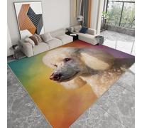 Générique Animal Fond Arc-en-Ciel Caniche Tapis Salon Lavable, Multicolore Chambre Tapis Poil Court Super Doux Anti-dérapant pour Bureau Hôtel Chevet Couloir Sol Coureurs 120 x 170 cm