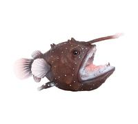 Générique Animal Toys - Simulation Marine Animal Model Set | Mini Portable Fish ANNILS | Figurines De Poisson | Toys des Animaux De Mer Réalistes | Figures Miniatures D'aquarium pour Les Et