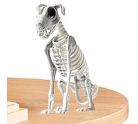 Générique Animaux Squelettes Halloween - Joints Articulés Chiot Ossature Réaliste - Accessoire Décoration 44x31cm pour Fête Festival Maison Chambre Réunion Foyer