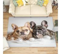 Générique Antidérapant Tapis Salon 80x150 cm Animal Bouledogue FrançAis Tapis de Zone Moelleux à Flanelle Doux, Gris Lavable Poils Ras Chambre Moderne Doux - Entretien Facile