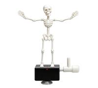 Générique Aquarium Squelette Dynamique - Bubbler Halloween Skeleton Bubbler