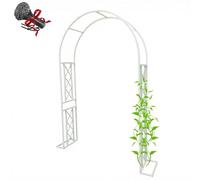 Générique Arche de Jardin en Acier pour Plantes grimpantes, tonnelle extérieur, Arceau à rosiers Tuteur avec Socle pour grimpants, pelouse, terrasse, décoration(Blanc,L340 x H230cm)