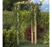 Générique Arche en Treillis 110x60x210 cm Bois de pin Massif imprégné Maison & Jardin Pelouses & Jardins Vie en extérieur Structures extérieures Arches, treillages & pergolas de Jardin (Poids 26.7KG)