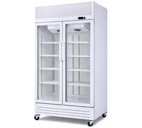 Générique Armoire à Boissons Réfrigérée Professionnelle 2 Portes Vitrées avec Canopy - 736 Litres