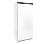 Générique Armoire Réfrigérée Négative 600L - Température ≤ -18°C - Stockage Volumineux - Classe B - Idéale pour la Restauration