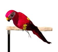 Générique Artificial Parrot - Realistic Foam Birds | Yard Ornaments