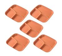 Générique Assiettes À Compartiments Pour Adultes - Plateau de Service 3 Compartments | 5 Pièces Assiettes À Sections | Pour Adultes Cuisine Maison Fruits Légumes Salade Riz Fromage Gâteau