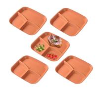 Générique Assiettes à Divisions - Plateau de Service à 3 Sections,Set de 5 Assiettes avec Séparations - Pour Adultes Cuisine Maison Fruits Légumes Salade Riz Fromage Gâteau