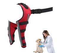 Générique Attelle Orthopedique pour Chien,Stabilisation Articulaire Réglable des Joints,Manuche Arriere pour Patte | pour Mobilité Récupération Blessure et Rééducation
