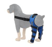 Générique Attelle pour Chien | Support Articulé Réglable | Soutien pour Membre Postérieur Canin | pour Mobilité Récupération Blessure et Rééducation