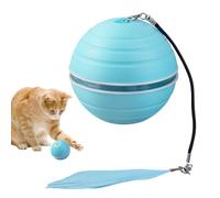 Générique Automatic Rolling Ball, Self-Rolling Interactive Cat Toy, Funny Pet Toy with LED Lights, 2.6x2.6 inches Automatic for Small to Large Cats, Indoor for Active Cats