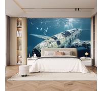 Générique Avion Épave Papier Peint Photo, Style Moderne Mat image Muraux Poster, épaissi Photo Murale pour Chambre Salon Chambre d'enfants Mur de fond TV Dortoir Décoration Murale 450 x 315 CM