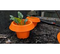 Générique Bague Anti-Limaces Orange pour Jeunes Plants, Lot de 5
