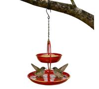 Générique Bain pour Oiseaux,Abreuvoir Vintage en Fer en Forme de cœur,Plateau pour perchoir à Oiseaux dans Le Jardin - pour Jardin, terrasse, Balcon, Cour, fenêtre, Rampe, Tronc