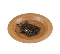 Générique Bain pour Tortue avec Pente Douce et Texture Anti-Dérapante en Pierre | Bol d'eau et de Nourriture pour Reptile avec Accès Facile | Bac de Bathtub en Matériau PC Durable destiné and Tortues