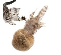 Générique Ball pour Chat | Jeu Anti-Ennui 3 Pièces,Jouet Interactif Chat en Poil de Lapin Doux - pour Jeu Exercice Dressage Intérieur Extérieur Chats Chiots Races Moyennes et Grandes
