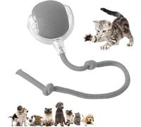 Générique Balle Interactive à Rouler pour Chien, Activée par Le Mouvement, Rouler pour Chat Et Chien, Balle Virale Intelligente pour Grands Et Petits Chiens (Gris)