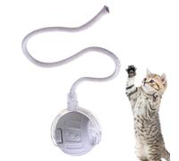 Générique Balle Jouet Intelligent Rechargeable Silencieux Stimulant