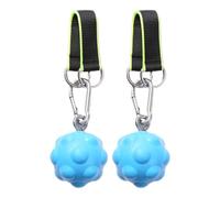 Générique Ballons de Puissance pour Tractions,Exercice de Bras d'escalade - Entraînement Musculaire Portable avec Balle d'exercice pour Professionnels Occupés, Adultes, Passionnés de Fitness,