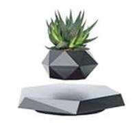 Générique BandD Pot de Fleurs en lévitation - Pot de Fleurs Flottant pour Petites Plantes - Décoration en lévitation magnétique pour la Maison et Le Bureau (Noir)