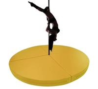 Générique Barre de Pole Dance à Fixation permanente au Plafond, Barre de Strip-Tease Commerciale pour Fitness et Musculation, (Tapis de Pole Dance, Tapis de réception Rond épais de 1"/2"/4" pour la p