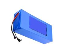 Générique Batterie Lithium for Vélo Électrique, Compatible avec Vélos, Scooters Et Motos, avec Chargeur.