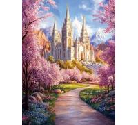 Générique Beau paysage du Temple de Salt Lake Kit de Broderie Point de Croix 11CT Pré-imprimé - Idéal pour Débutants et Adultes, Activité DIY pour la Décoration Intérieure 30x40cm 1663