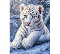 Générique Bébé tigre Kit de Broderie Point de Croix 11CT Pré-imprimé - Idéal pour Débutants et Adultes, Activité DIY pour la Décoration Intérieure 30x40cm 1425