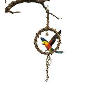 Générique Bird Cage Toy, Hangable Finch Perch System, Bird for Pet Use, Compact Cage Size Fit, Easy Chew Perch Toy Accessory, Cockatiel Lovebird Conure Enrichment Solution